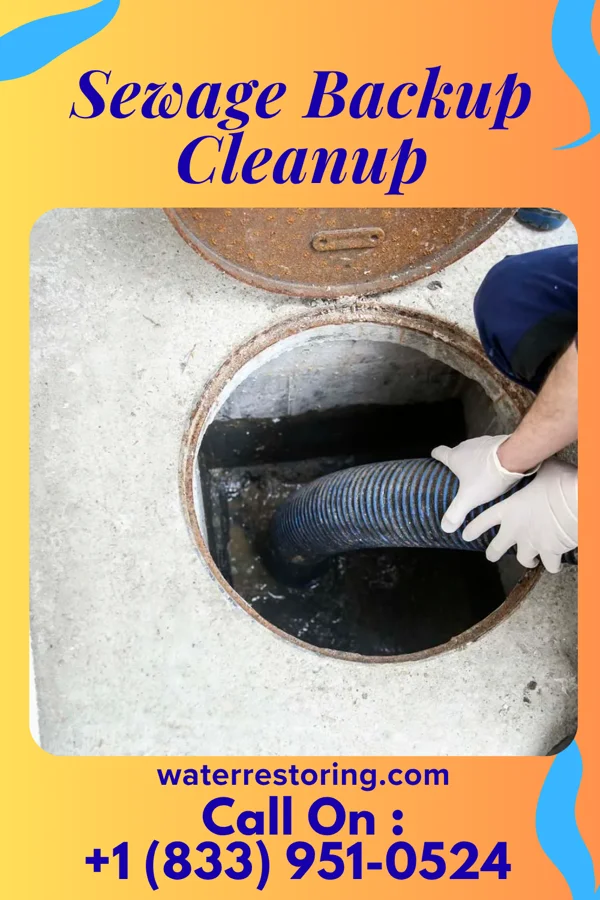Sewage Backup Cleanup in Brant Lake, SD